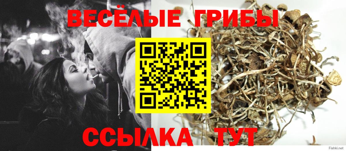 Галлюциногенные грибы GOLDEN TEACHER Георгиевск